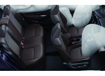 數(shù)九寒天如何安穩(wěn)過冬？全能亞洲獅送您“四不怕”