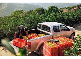 風駿為什么被稱為皮卡界的“常青樹”