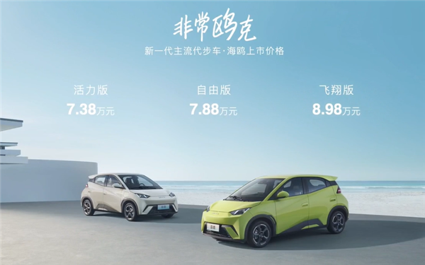 7.38萬(wàn)起！比亞迪海鷗正式上市 續(xù)航最高可達(dá)405km